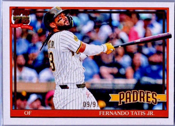Fernando Tatis Jr. [The Real One] #T91-8