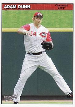 Adam Dunn #8