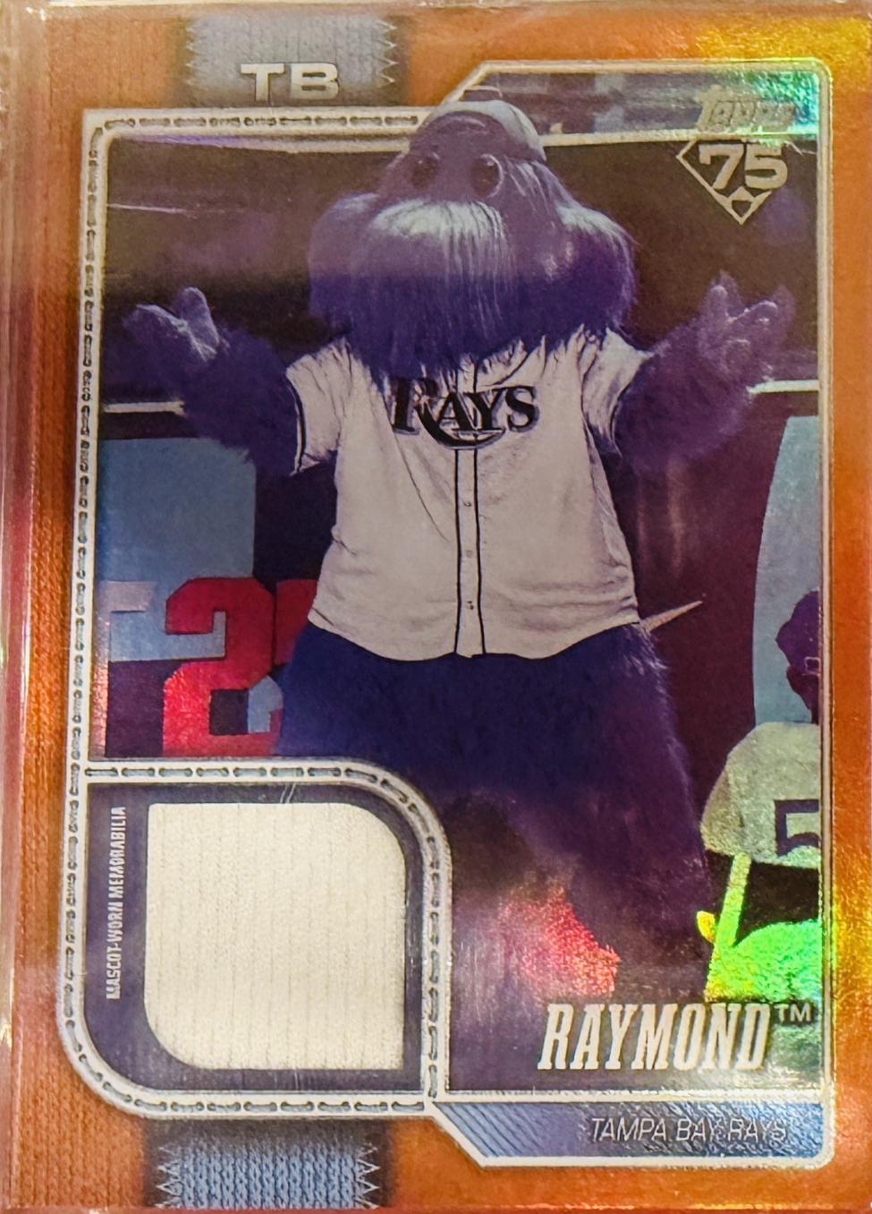 Raymond [Orange] #MAS-RAY
