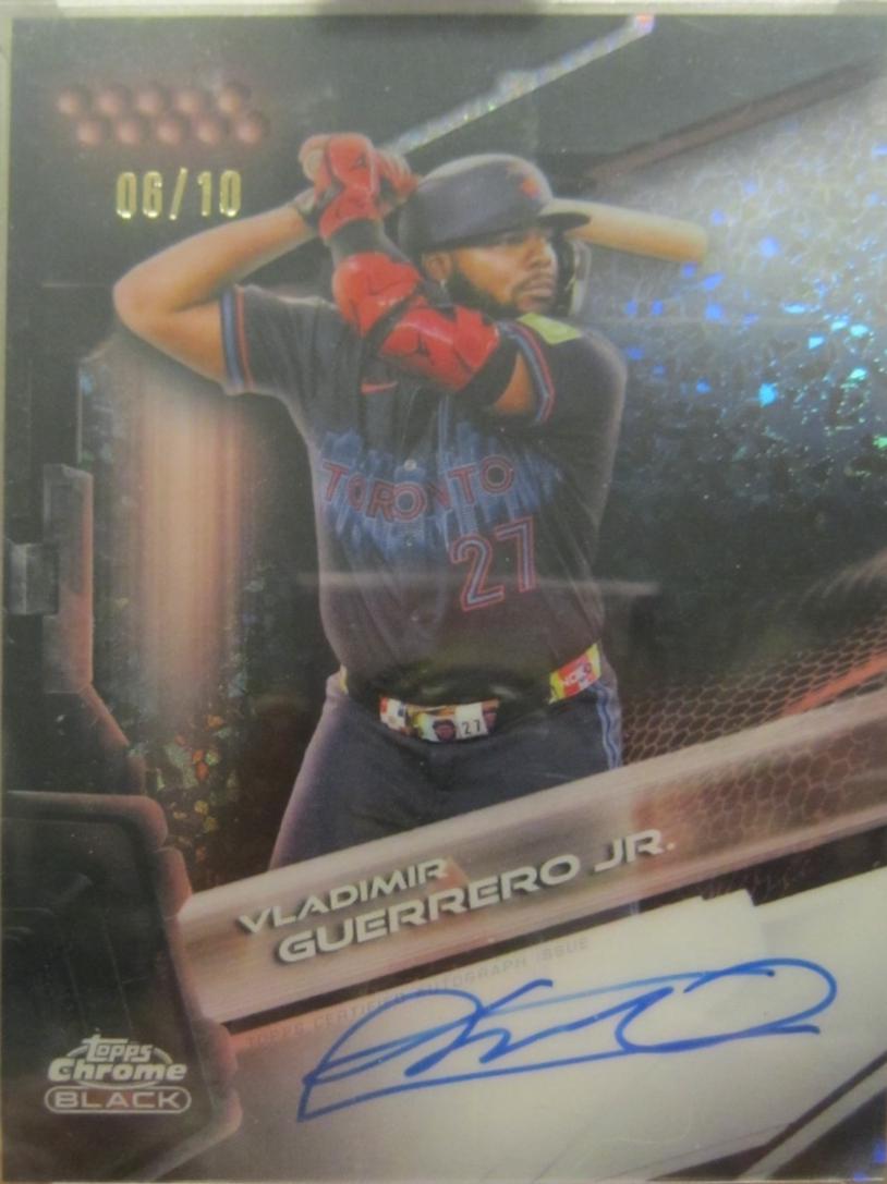 Vladimir Guerrero Jr. [Rose Gold Mini-Diamond Refractor] #CBA-VG