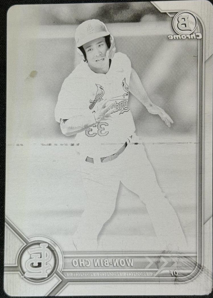 Won Bin Cho [Printing Plate] #BDC-65