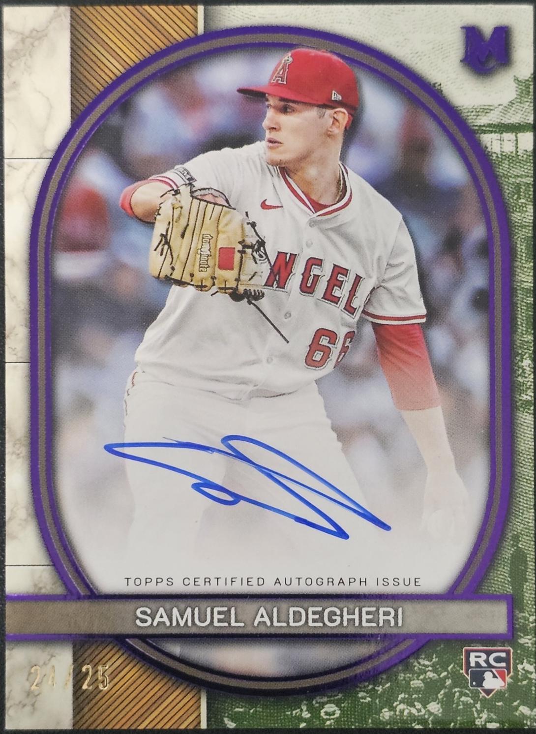 Samuel Aldegheri [Amethyst] #AA-SA