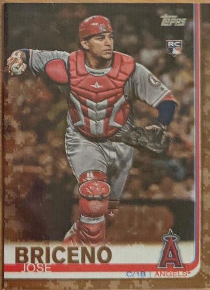 Jose Briceno [Memorial Day Camo] #689