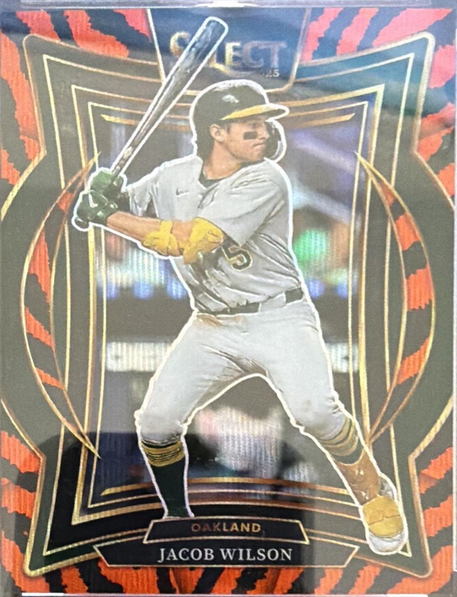 Jacob Wilson [Tiger] #56