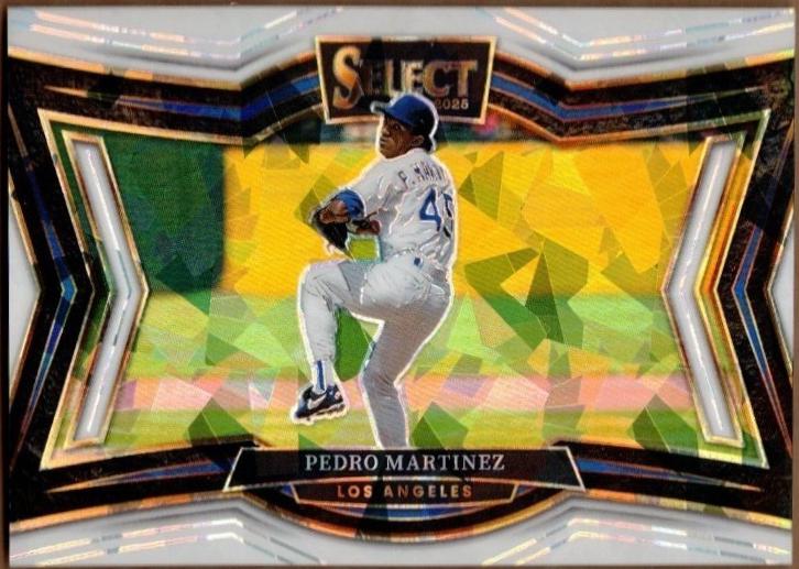 Pedro Martinez [White Ice] #241