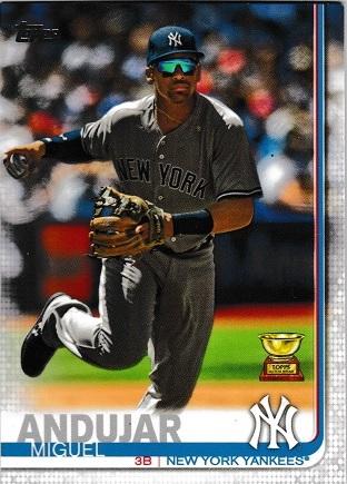 Miguel Andujar #132