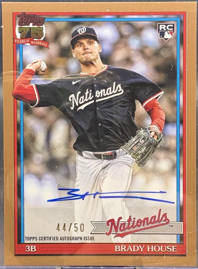 Brady House [Gold] #91A-HOU