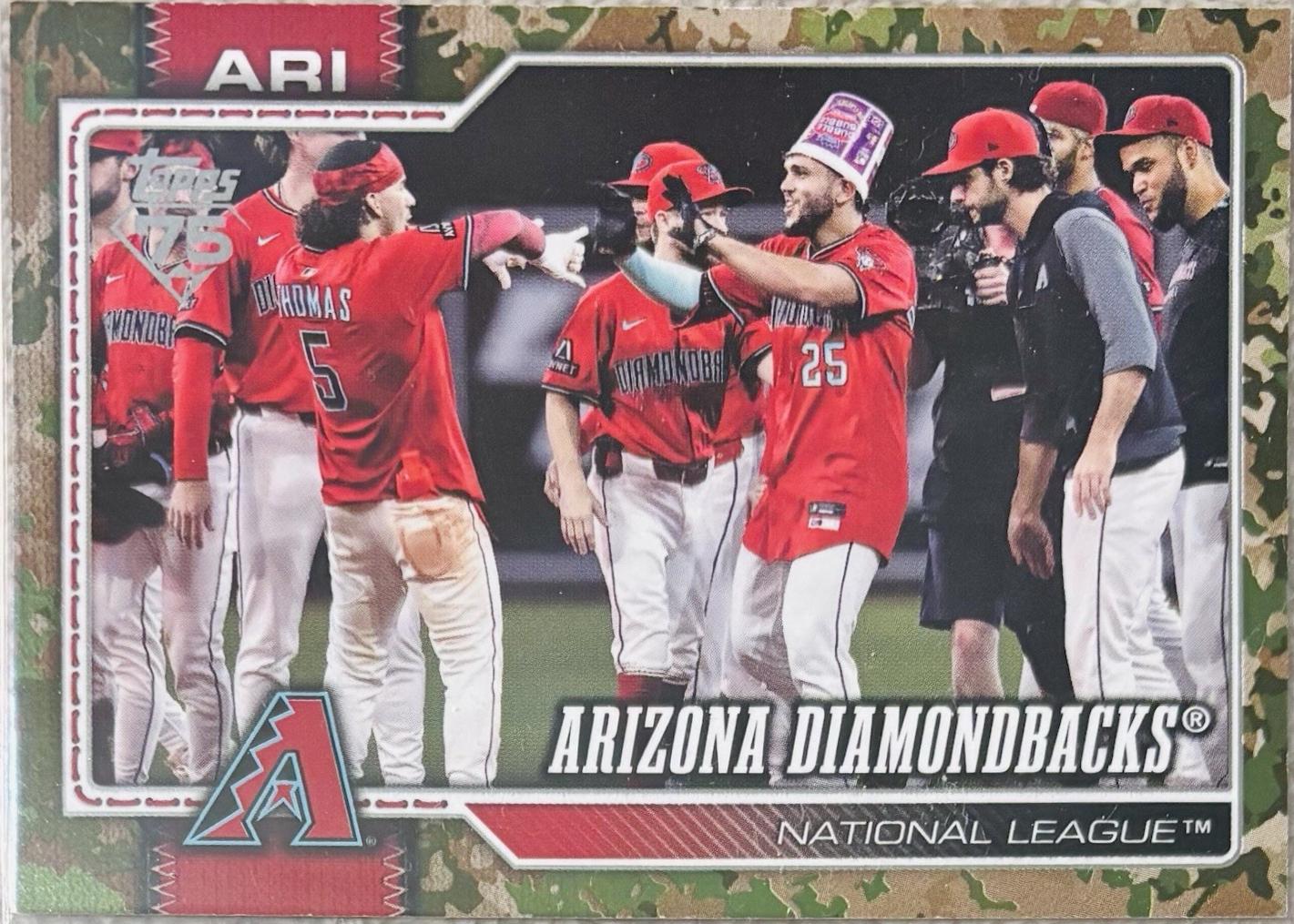 Arizona Diamondbacks [Memorial Day Camo] #47