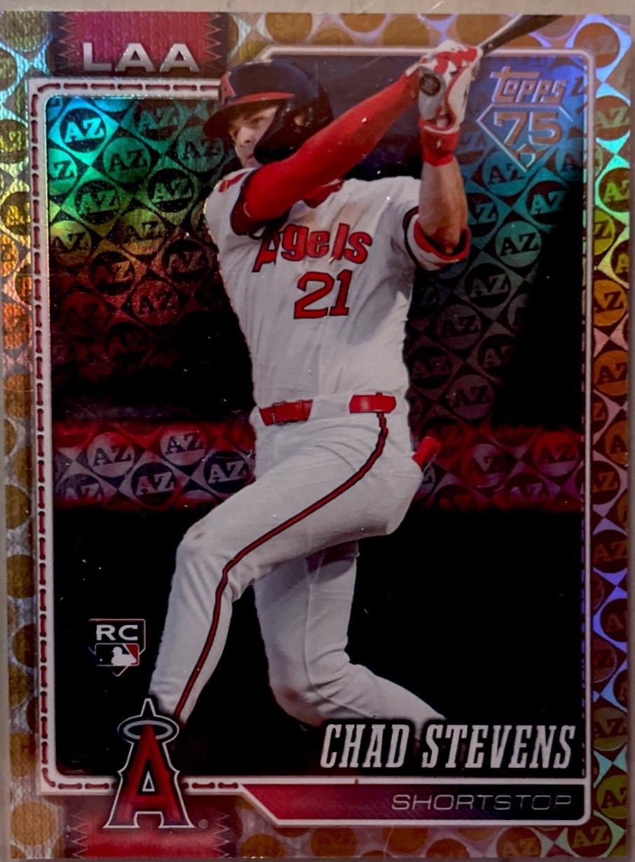 Chad Stevens [Canvas] #232