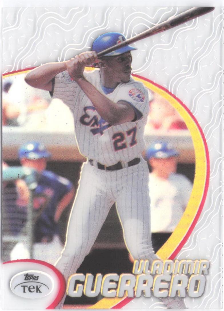 Vladimir Guerrero [Pattern 14] #17