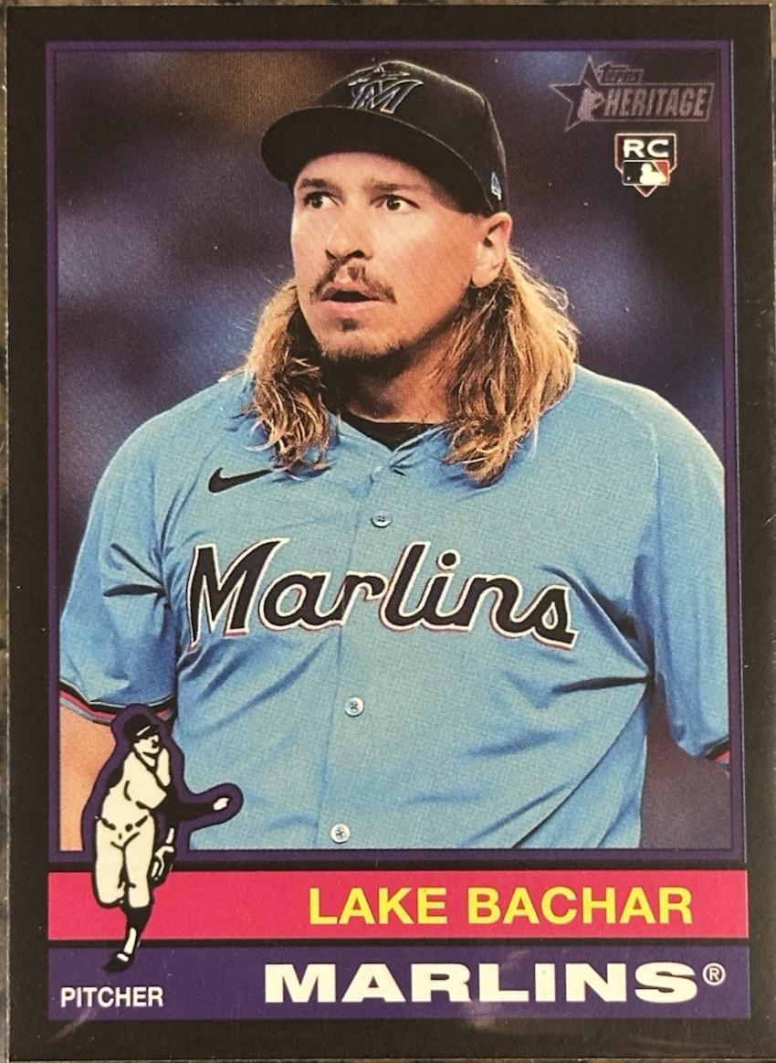 Lake Bachar [Black Border] #254