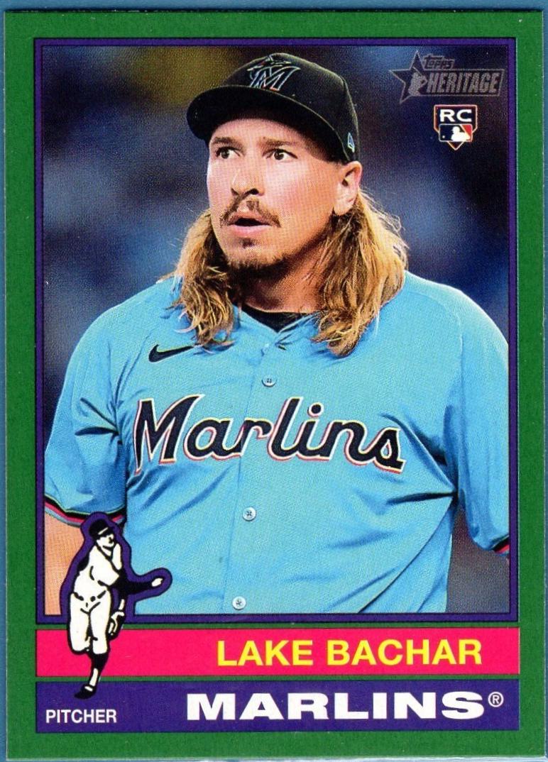 Lake Bachar [Dark Blue Border] #254