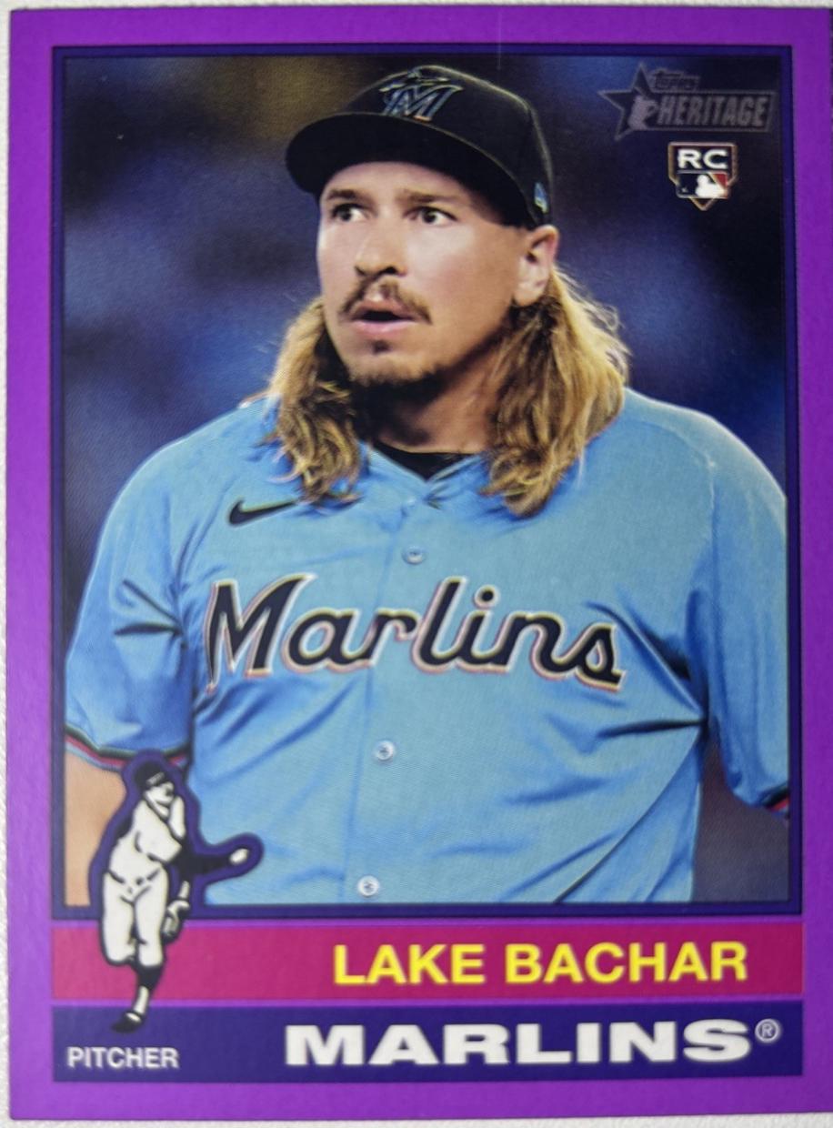 Lake Bachar [Light Purple Border] #254