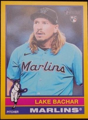 Lake Bachar [Yellow Border] #254