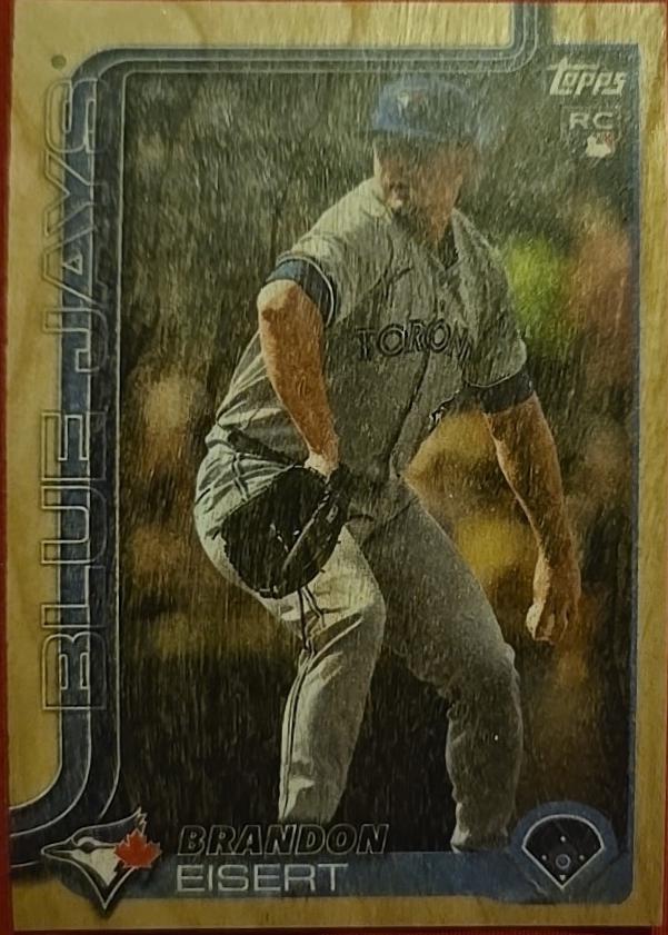 Brandon Eisert [Wood] #359