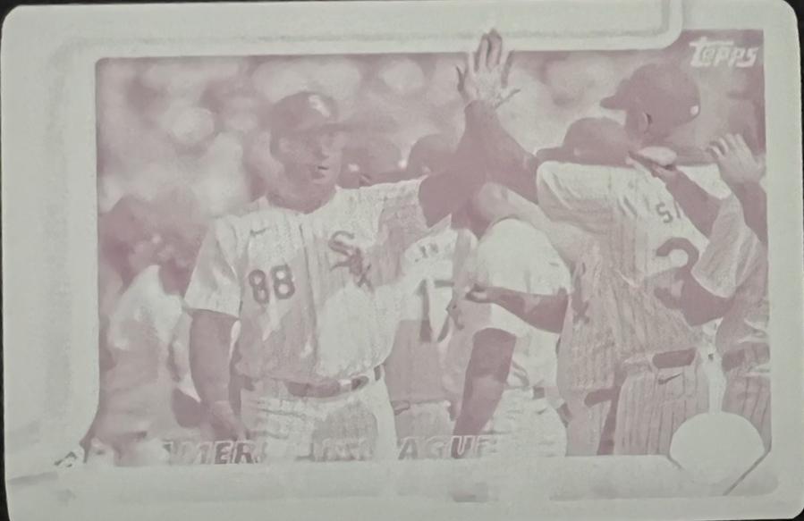 Chicago White Sox [Printing Plate] #352
