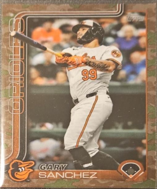 Gary Sanchez [Memorial Day Camo] #460