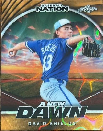 David Shields [Lava Gold] #NB-34