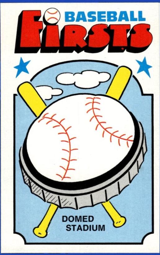 Domed Stadium #22