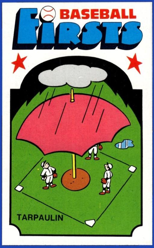 Tarpaulin #30
