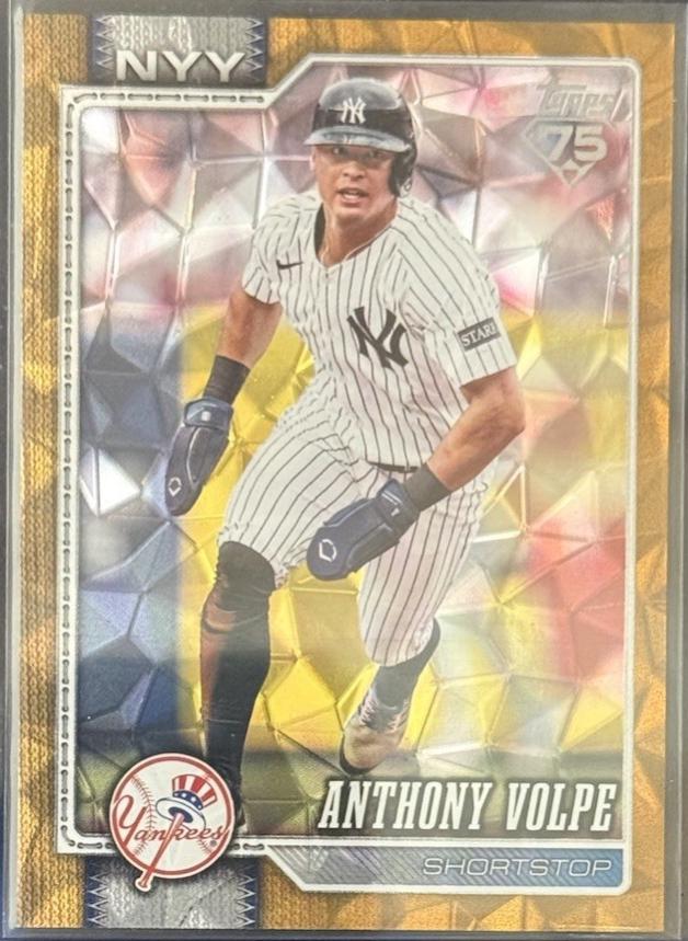 Anthony Volpe [Canvas] #308
