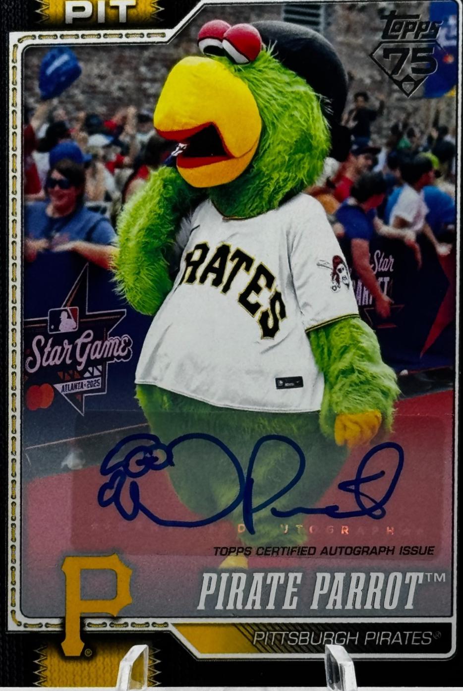 Pirate Parrot [Black] #M-17