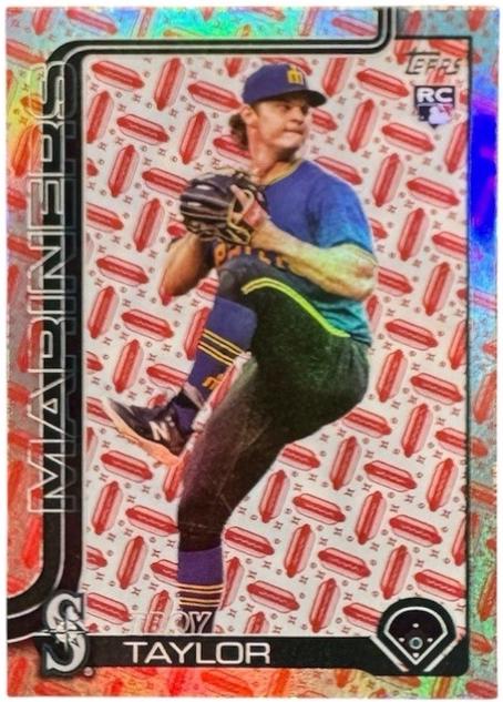 Troy Taylor [Hot Dog] #691