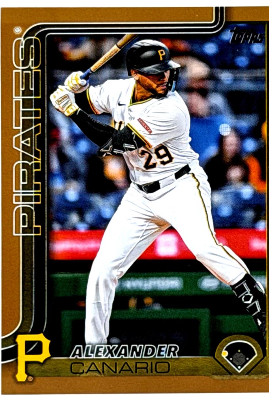 Alexander Canario [Gold Border] #US204