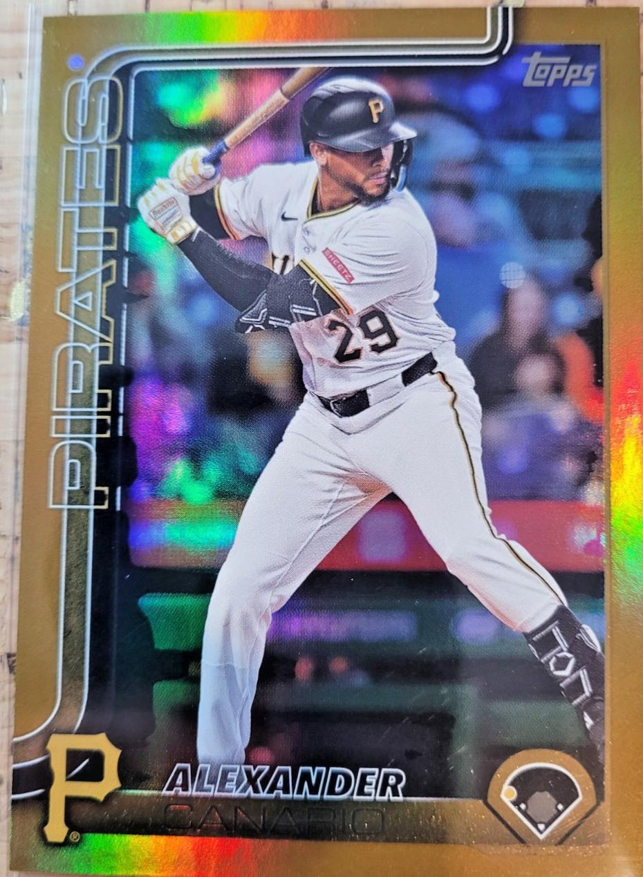 Alexander Canario [Gold Rainbow Foil] #US204