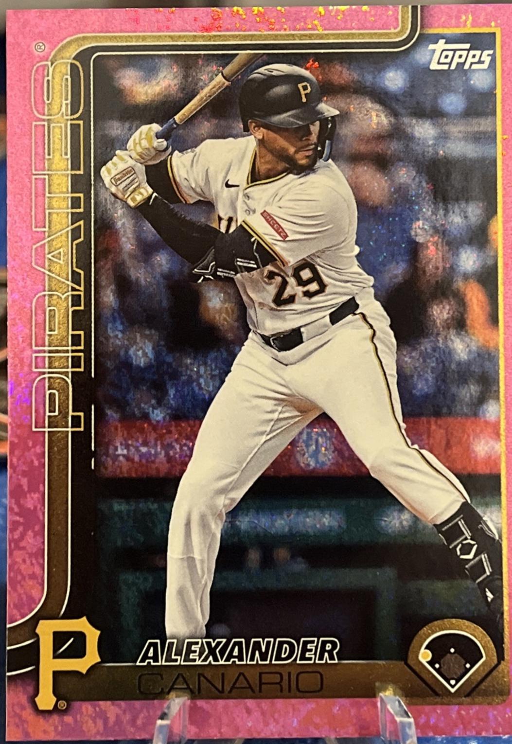 Alexander Canario [Holo Pink Foil] #US204