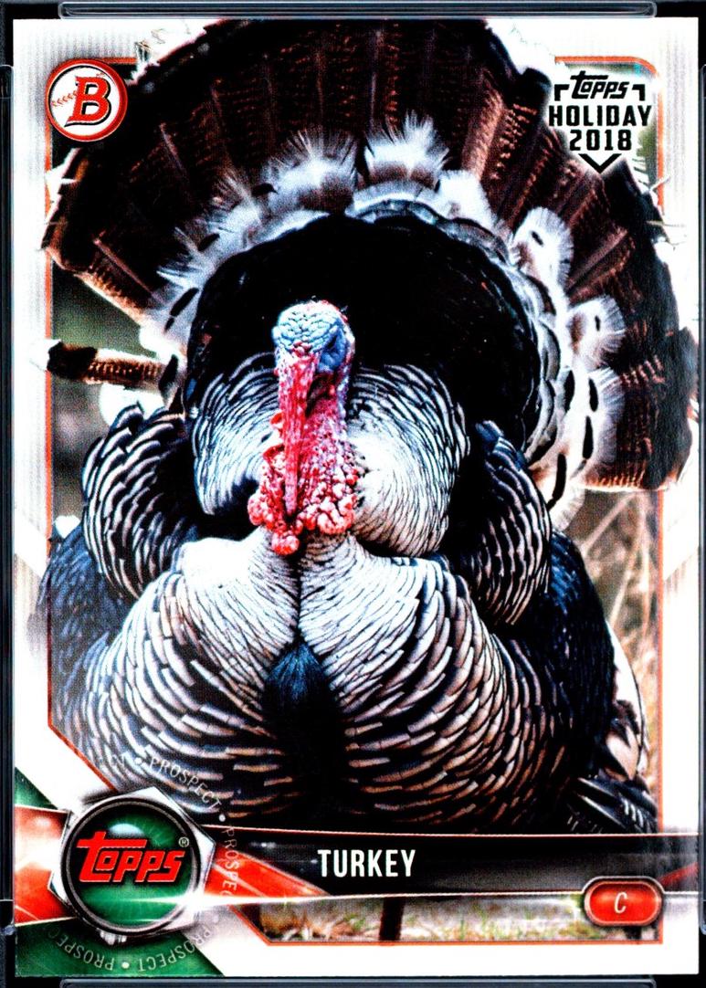 Turkey #WHPT