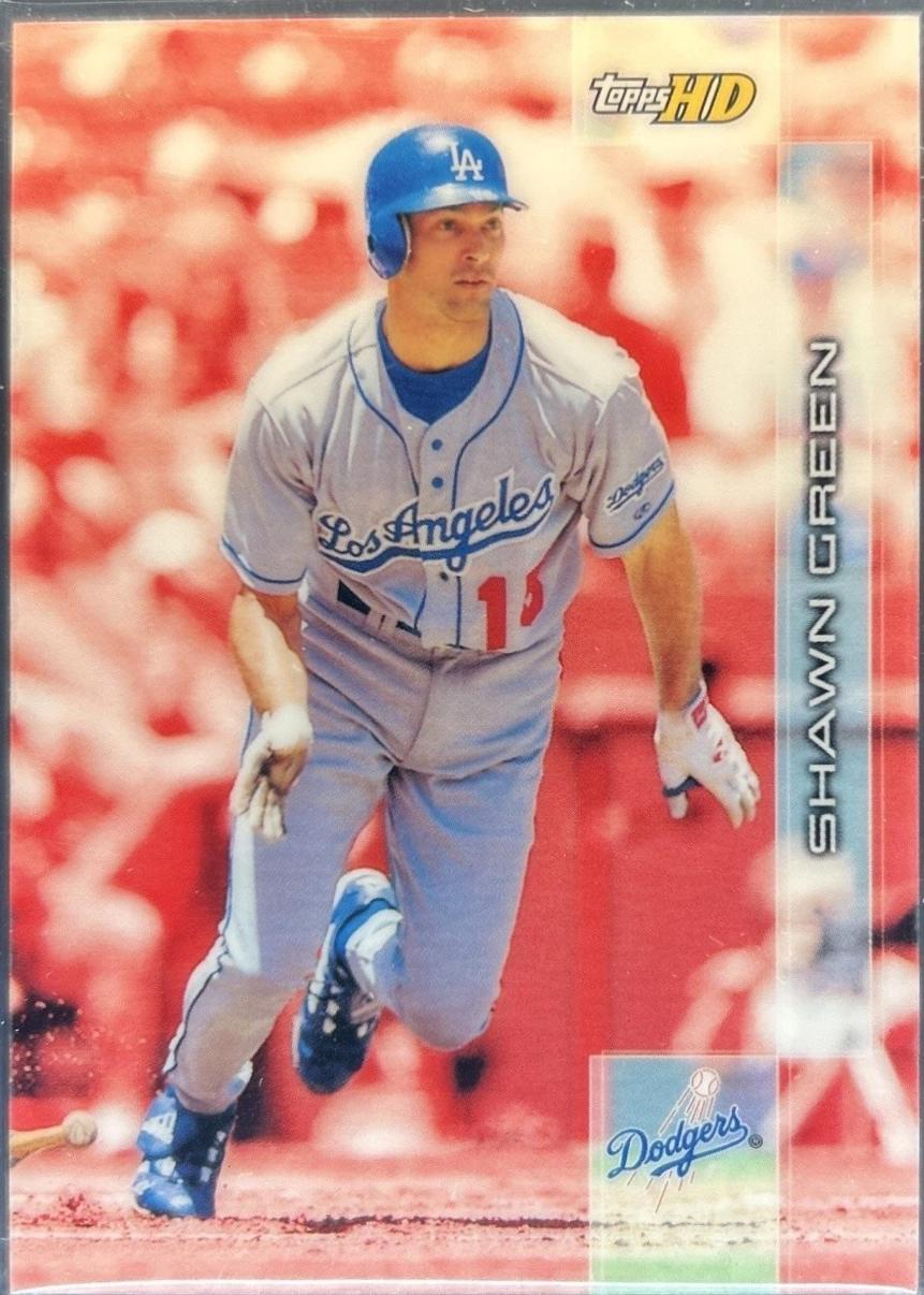 Shawn Green #119