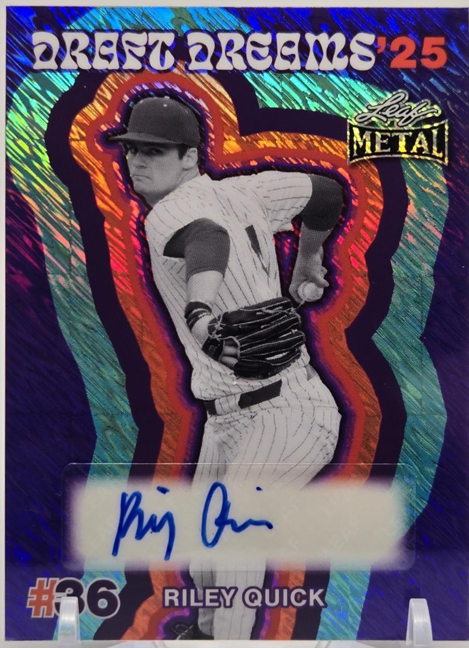 Riley Quick [Shimmer Purple] #DA-RQ1
