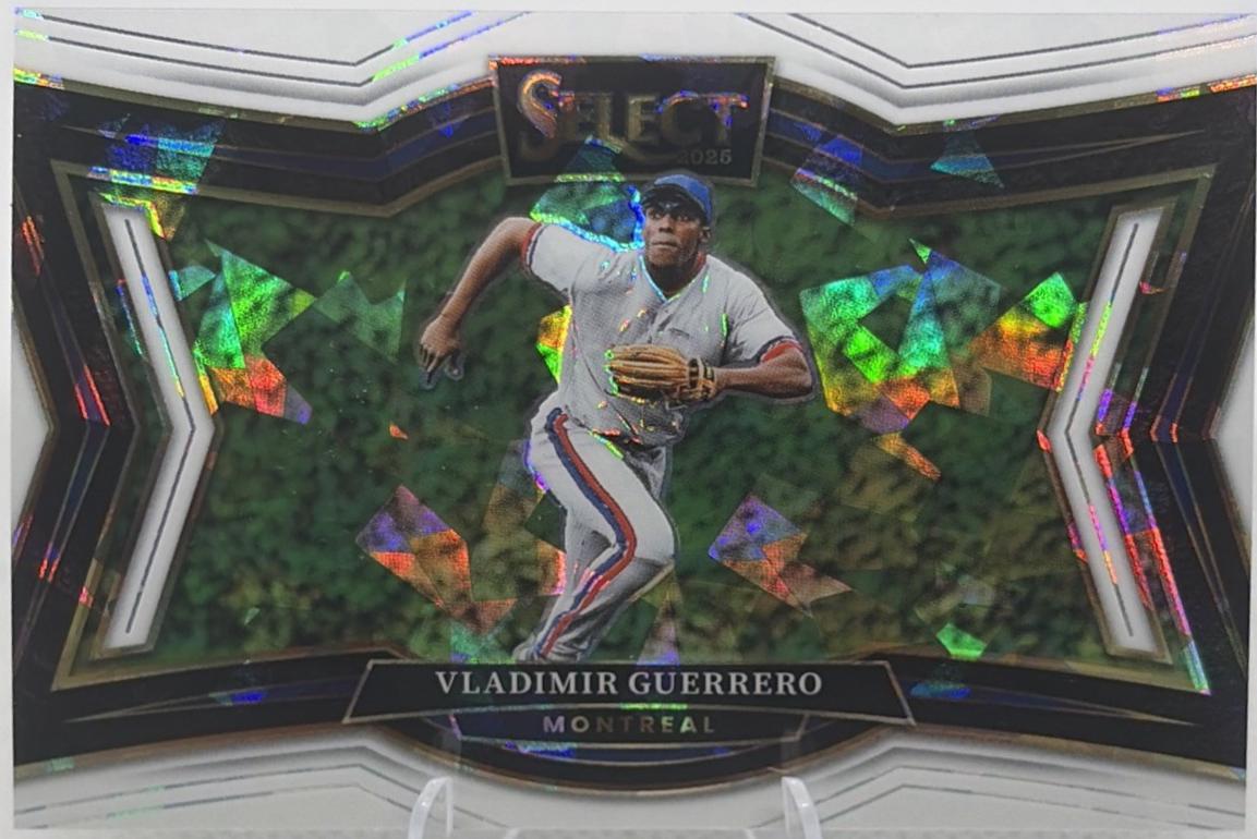 Vladimir Guerrero [White Ice] #270
