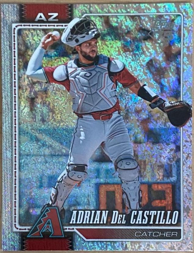 Adrian Del Castillo [Silver Crackle Foil] #460