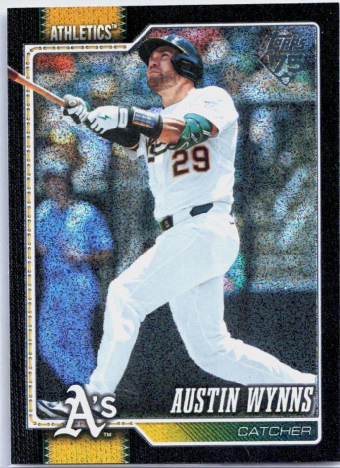 Austin Wynns [Sandglitter Black] #590