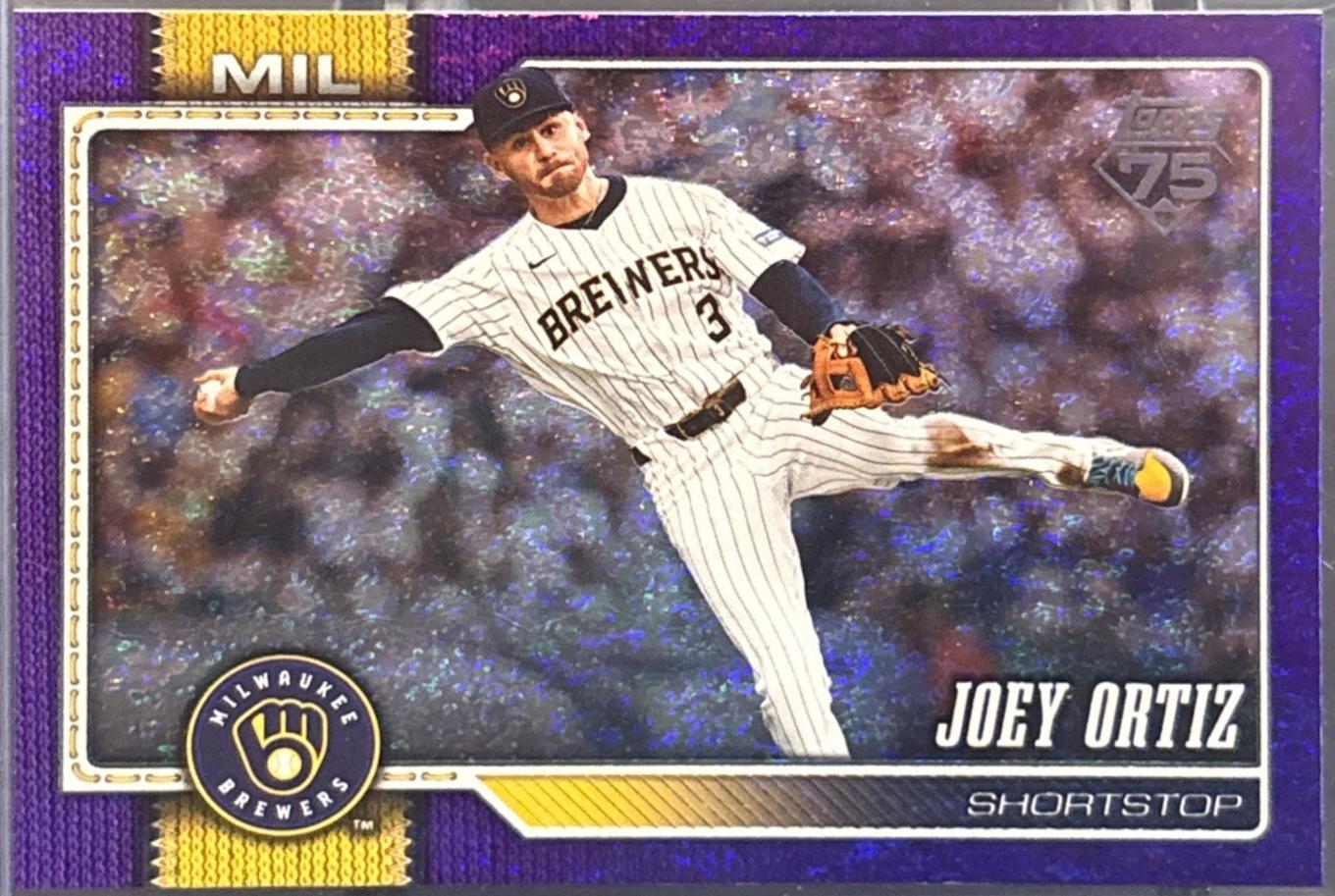 Joey Ortiz [Holo Foil Purple] #542
