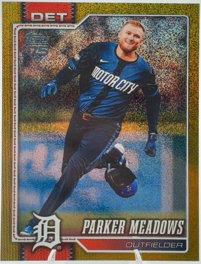 Parker Meadows [Sandglitter Gold] #404
