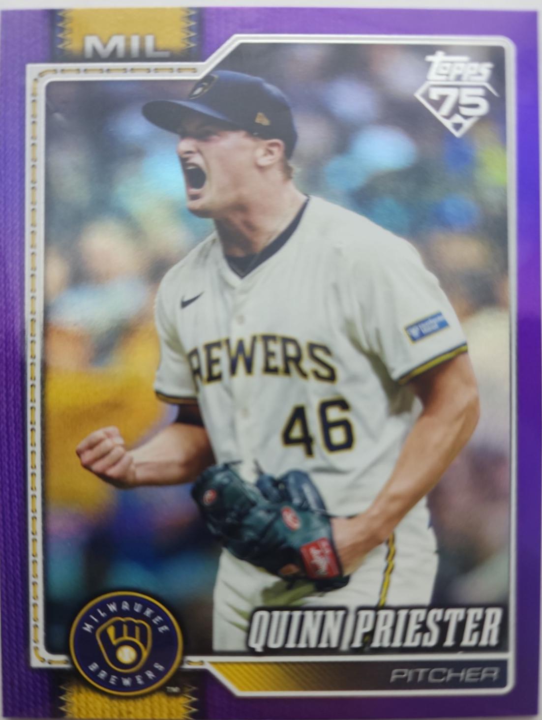 Quinn Priester [Purple Rainbow Foil] #684