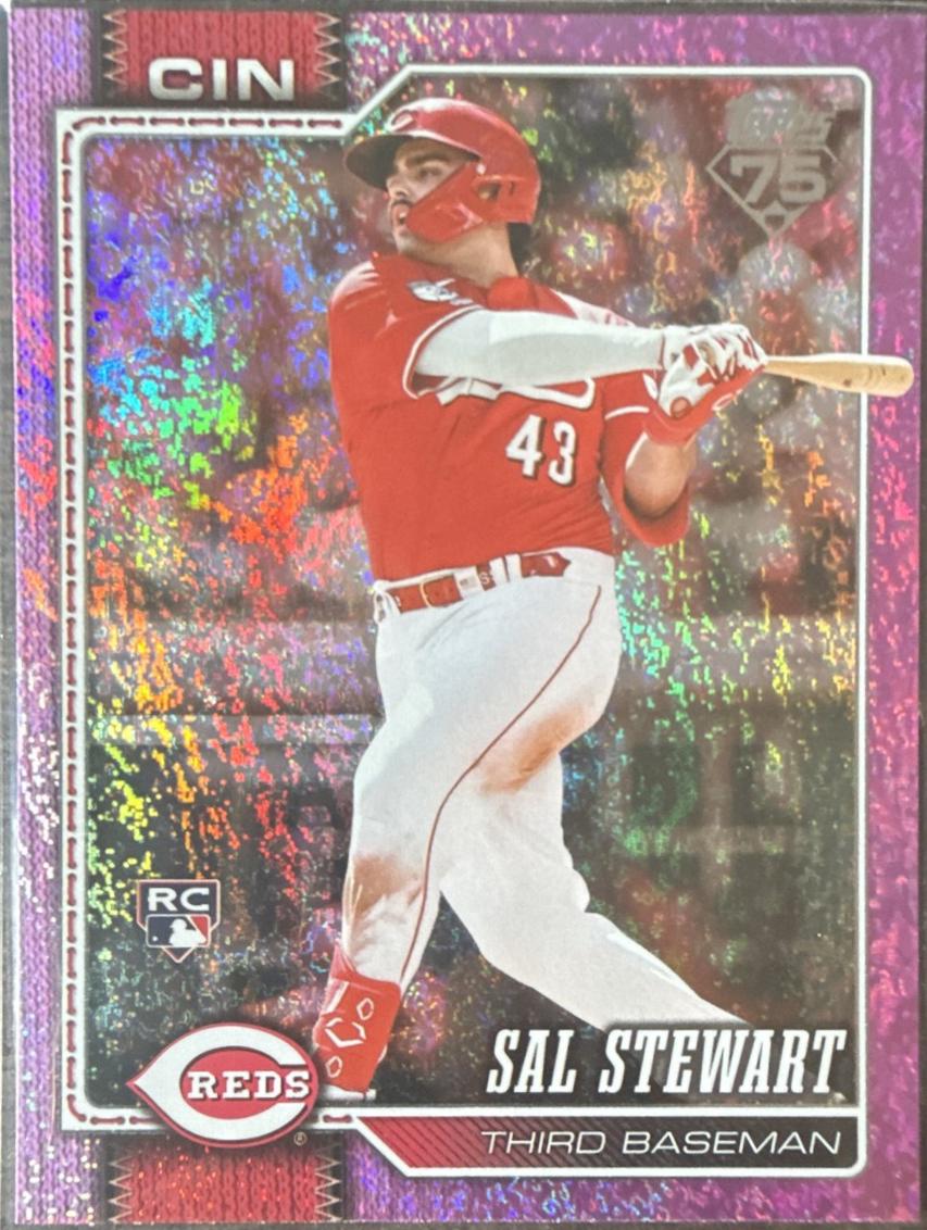 Sal Stewart [Holo Foil Pink] #372
