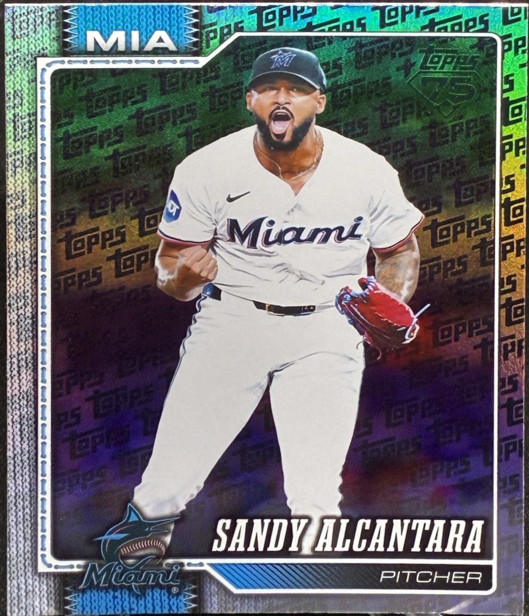 Sandy Alcantara [Topps Pattern] #449