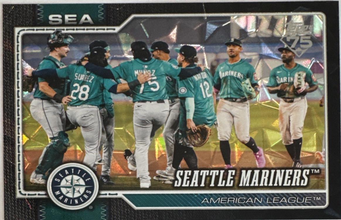 Team Card [Black Diamante Foil] #525