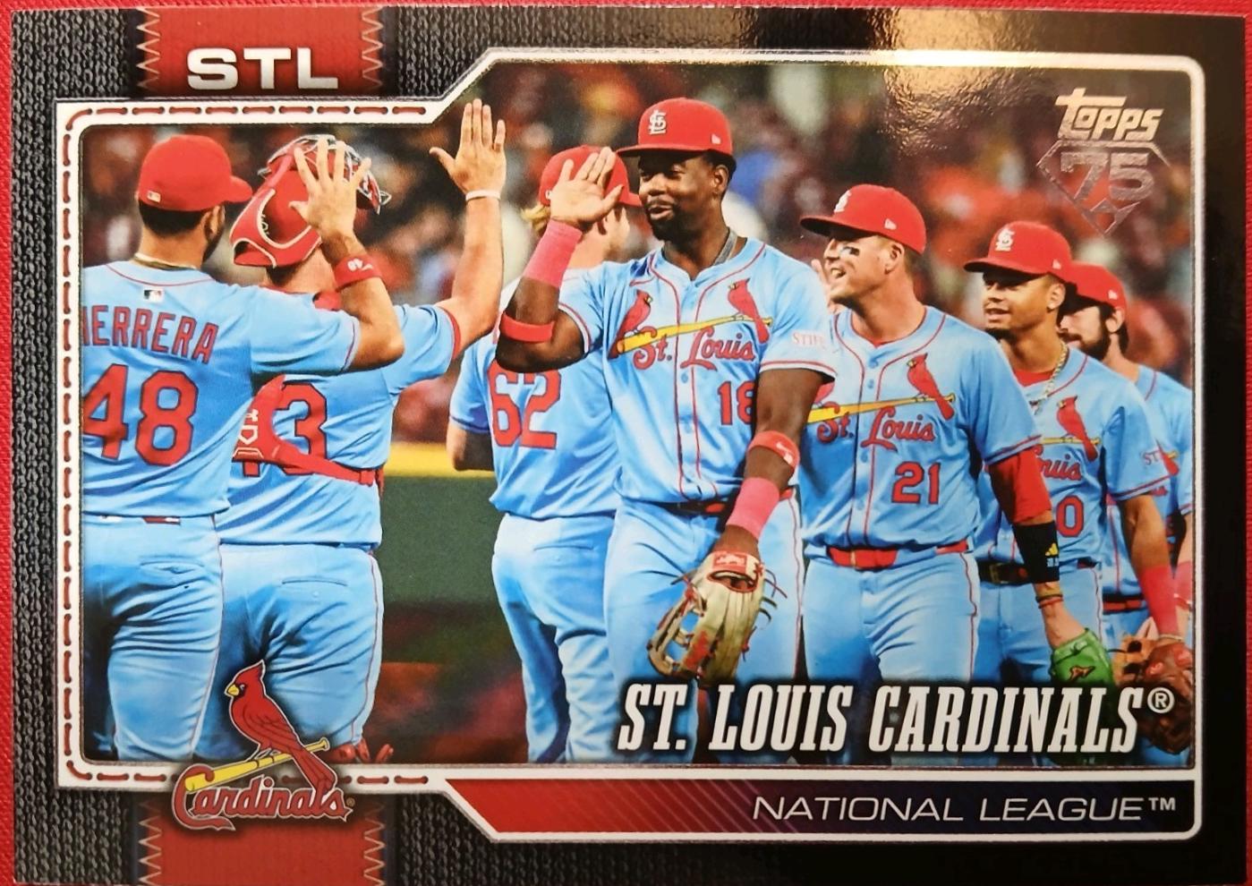 Team Card [Black] #353