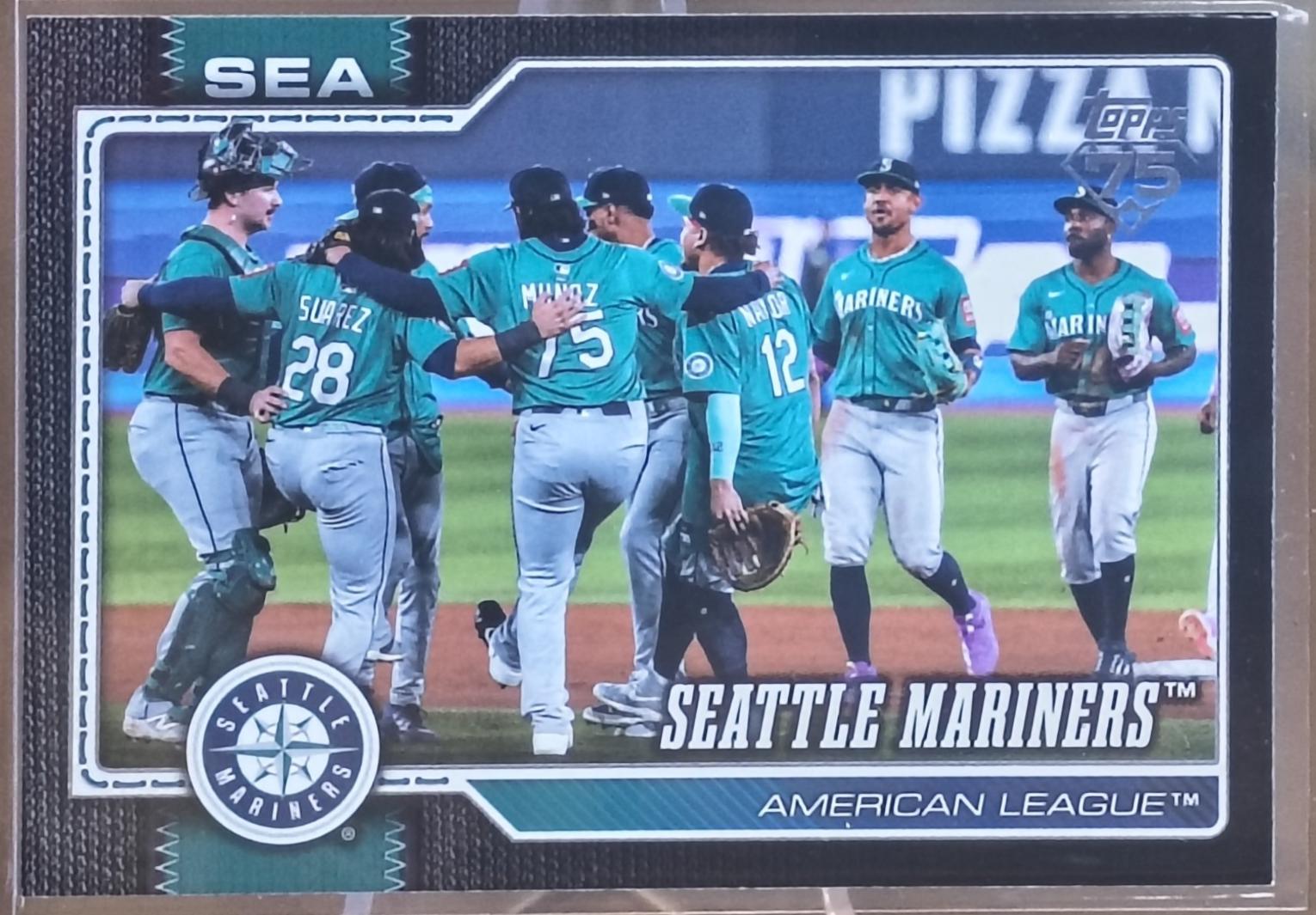 Team Card [Black] #525