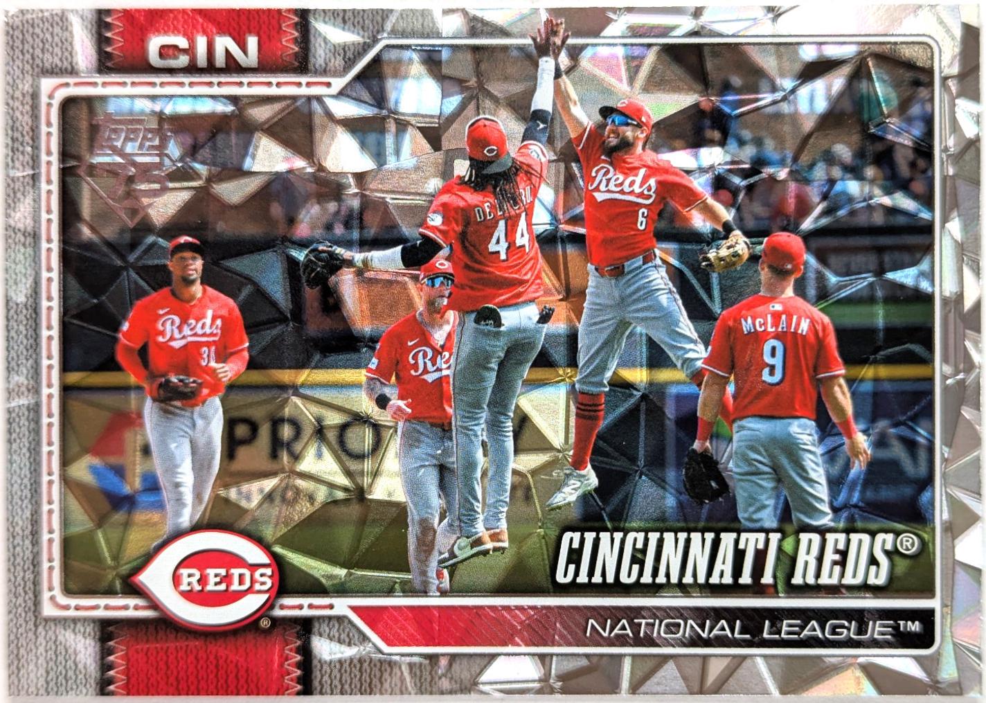 Team Card [Diamante Foil] #488