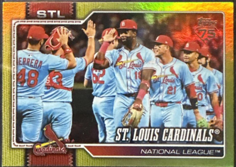 Team Card [Gold Diamante Foil] #353