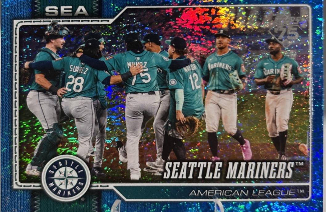 Team Card [Holo Foil Blue] #525
