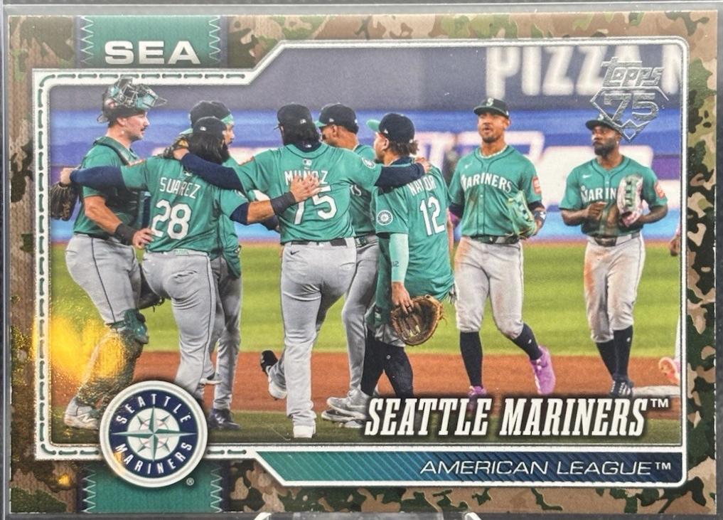 Team Card [Memorial Day Camo] #525