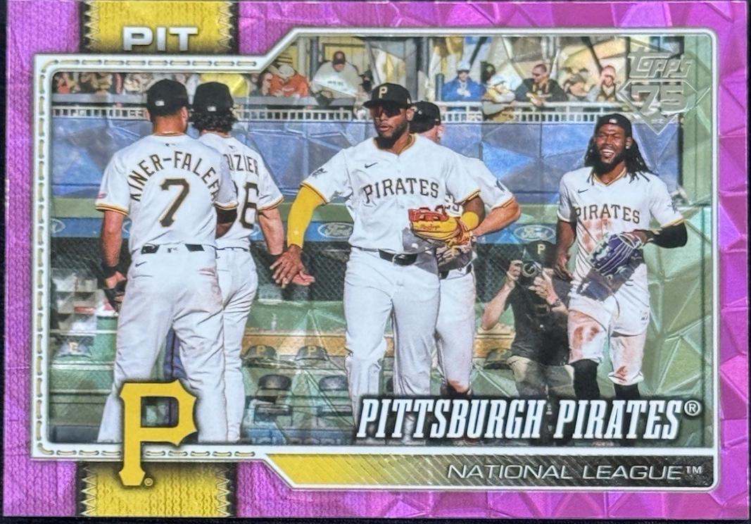 Team Card [Pink Diamante Foil] #467