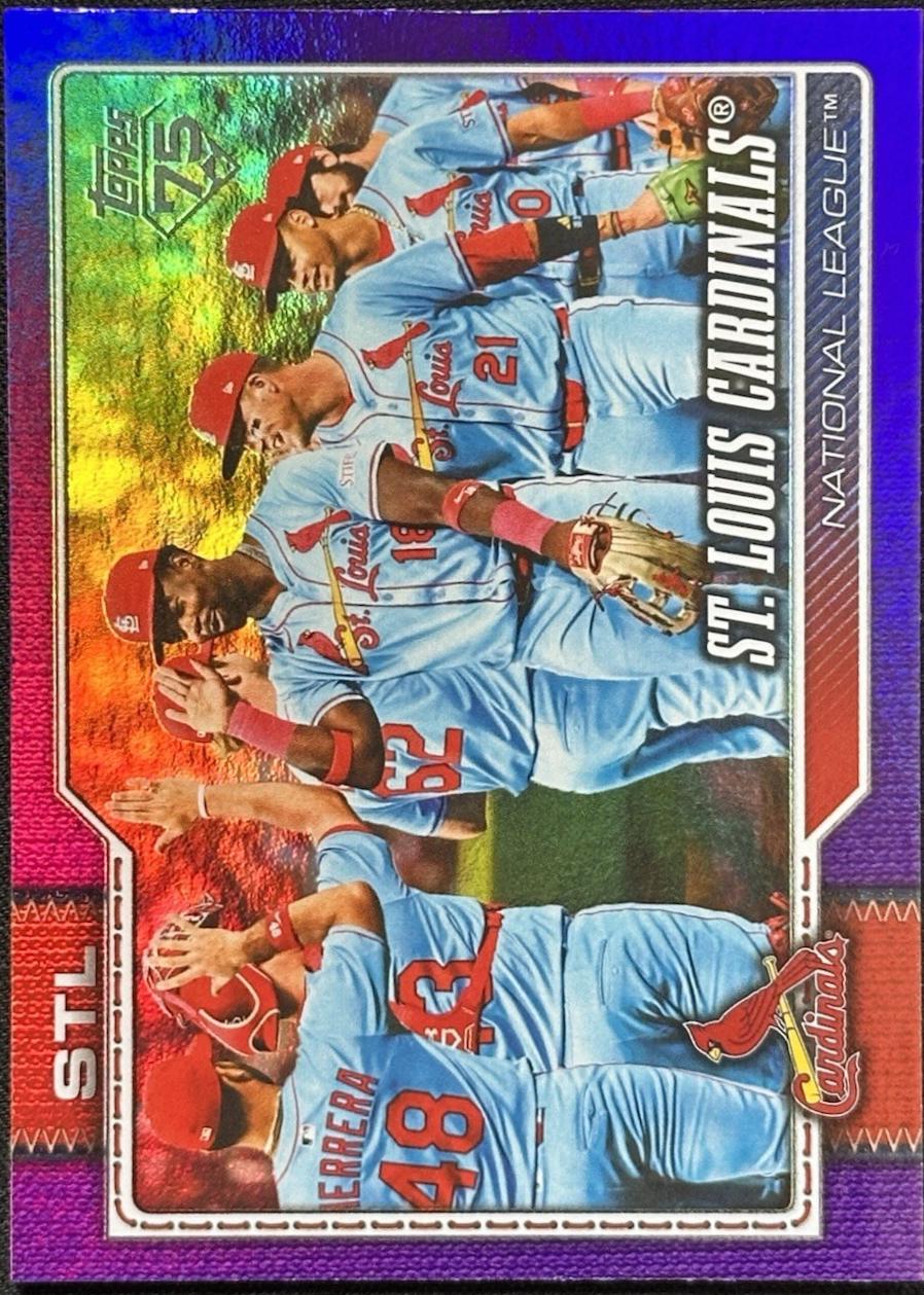 Team Card [Purple Rainbow Foil] #353